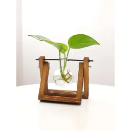 Smokey Cocktail Transparent & Brown Glass Single Flask Planter With Wooden Stand-picture-41
