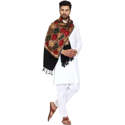 SNandCo Pashmina, Wool Embroidered Men Shawl-picture-33