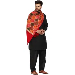 SNandCo Pashmina, Wool Embroidered Men Shawl-picture-11