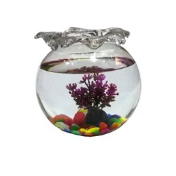 SOMIL Clear & Round Glass Fish Pot-picture-23
