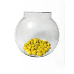 SOMIL Clear & Round Glass Fish Pot-picture-27