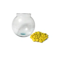 Somil Clear & Transparent Round Decorative Glass Fish Pot-picture-16