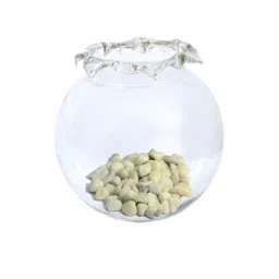 Somil Clear Round Glass Fish Pot-picture-25