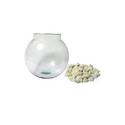 Somil Round Decorative Glass Fish Pot-picture-18