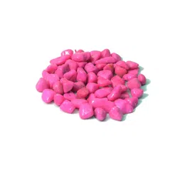 Somil Transparent Round Decorative Glass Fish Pot 1L image 3