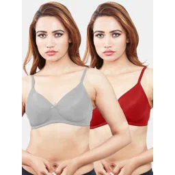Sonari Women Pack Of 2 Grey & Red Lightly Padded T-Shirt Bra-picture-42