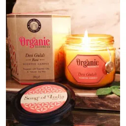 Desi Gulab - Rose Organic Soy Wax Candles by Song of India-picture-15