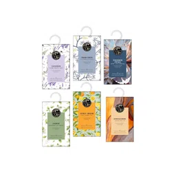 SOUL & SCENTS Blue & Green 6 Pieces Fragrance Sachet 20 g Each-picture-27
