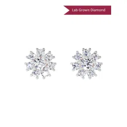 Sparkles Lab Grown Diamond 14k (585) Rose Gold Earrings for Women-picture-26