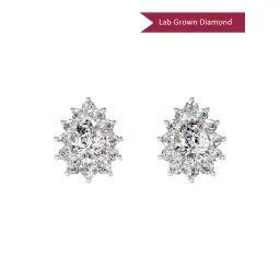 Sparkles Lab Grown Diamond 14k (585) Rose Gold Earrings for Women-picture-33