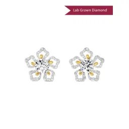 Sparkles Lab Grown Diamond 14k (585) Yellow Gold Earrings for Women-picture-31