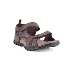 Sparx Men Brown Solid Sandals-picture-20
