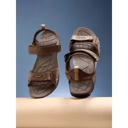 Sparx Men's Camel Floaters-picture-28