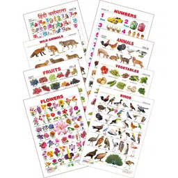 spectrum Kid's 1st Learning Charts [S] : Set 8 (Hindi Varnamala, Numbers 1 to 10, Wild Animals, Domestic Animals, Fruits, Vegetables, Flowers & Birds)-picture-13