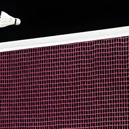 Sports Nets Badminton net for Outdoor Indoor Tournament net & Practice Net Size 20ft X 2.5ft (High Density Polyethylene (HDPE))-picture-24