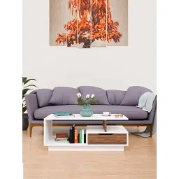 SPYDER CRAFT Engineered Wood Coffee Table (White)-picture-38