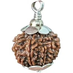SreeGems 8 Mukhi Rudraksha Original Certified Nepali 8 Face Rudraksha Original With Silver Capping Aath Mukhi Rudraksh Blessed By Lord Ganesh 8 Mukhi Rudraksha Pendant 8 मुखी रुद्राक्ष 8 Mukhi Rudraksha Nepal-picture-48