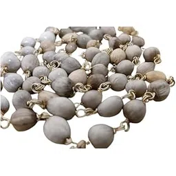 SreeGems Vaijayanti Mala Original Certified Vajanti Mala Silver Chain Vaijayanti ki Mala Vaijati Mala Original वैजयंती की माला Real Vaijanti Mala Plant Seeds Vaijanti Mala For Kanha Laddu Gopal-picture-29