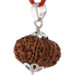 SRT Rudra Certified 12 Mukhi Rudraksha Pendant Real Twelve Mukhi Rudraksha Jap Bead 12 मुखी रुद्राक्ष Original Barah Mukhi Rudraksha Silver Pendant For Dhyan-picture-28