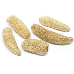 SSKR Natural Organic Body Scrubber Loufah Sponges for Bathing (Pack of 5)-picture-26