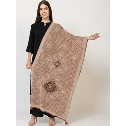 STADO Women Ethnic Motifs Woven Design Shawl image 1