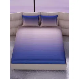 Stoa Paris Multicolor Polyester 300 TC King Bedsheet with 2 Pillow Covers-picture-31