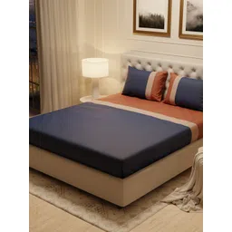 Stoa Paris Urbain  Blue & Brown Striped 300 TC King Bedsheet with 2 Pillow Covers-picture-25