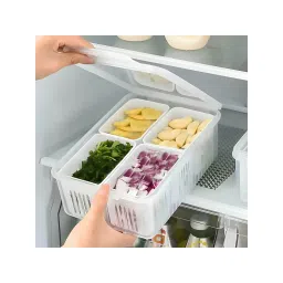 Story@Home Grid Vegetable Container (Pack Of 4)-picture-13