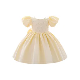 StyleCast Yellow & sand dollar Floral Embroidered Puff Sleeve Fit & Flare Dress-picture-37