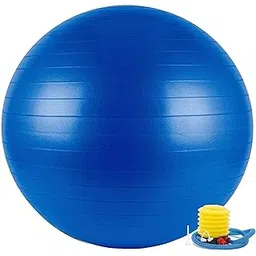Styxon Anti-Burst Exercise Ball with Foot Pump for Fitness, Exercise and Yoga - 65 CM (Blue)-picture-21