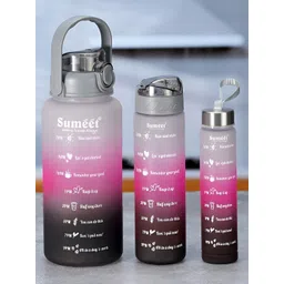 Sumeet Grey Pink 3 Pieces Colourblocked Double Wall Vacuum Water Bottle Combo-picture-25