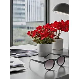 SUNNIES Unisex Round Sunglasses with UV Protected Lens SUNNIES-016-C2-picture-32