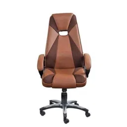 Sunview Tan &a; Brown Gaming Style High Back Ferrari Office Chair-picture-20
