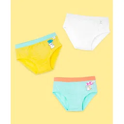 SuperBottoms Bamboo Knit Pack Of 3 Mushroom & Rabbit Printed Briefs - Multi Colour-picture-37