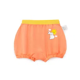 SuperBottoms Kids Printed Anti Bacterial Basic Briefs Und-BY-BL-NS-2-3Y-1P-picture-17