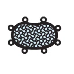 Surgiwear 35x25mm Temporal Plate for Temporal Bone &a; Area Repair, CF11-352-picture-32