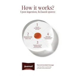 Swarneo Gut Health Gummies | Pack Of 3 | Pro Biotic + Immunity Gummies|30 Gummy| 2 Billion CFU | Improve Gut Health, Immune Support, Healthy Digestion | Soy free, Gluten Free, Dairy Free, Vegan| Clinically Tested Strain| Orange Flavour| image 5