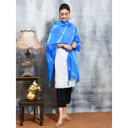 swatika Leheriya Printed Dupatta-picture-13