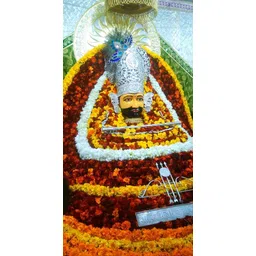 sweetsaab sHYAM _0013 8 inch 2004-picture-12