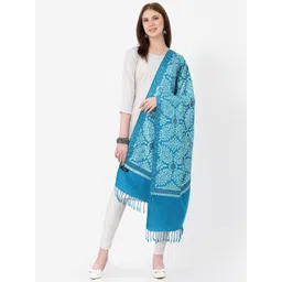 SWI Stylish Ethnic Motifs Aari Embroidered Shawl-picture-18