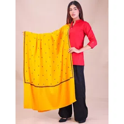 SWI Stylish Floral Embroidered Thread Work Pashmina Pure Woollen Shawl-picture-31