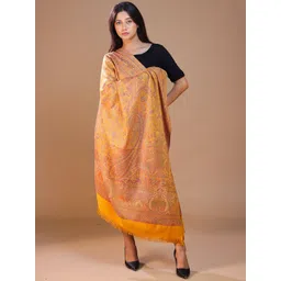 SWI Stylish Women Ethnic Motifs Woven Design Shawl-picture-39
