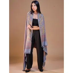 SWI Stylish Women Ethnic Motifs Woven Design Shawl-picture-27
