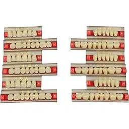 Synthetic Teeth Full Set Double Layer -Set of 3 per box (Shade-A2, Large-425)-image-0