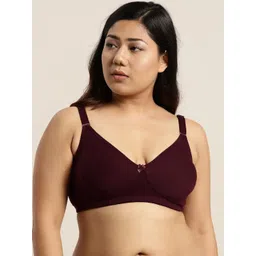 Sztori Plus Size Burgundy Solid Non-Wired Non Padded Everyday Bra SZ-BRA-708D-picture-27