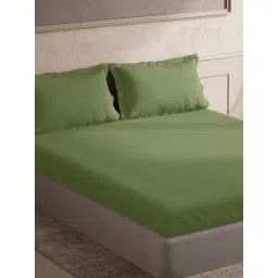 TARA Sparkling Homes Green 300 TC Cotton King Bedsheet With 2 Pillow Covers-picture-17