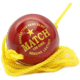 tarini hub Tarini Leather practice hanging ball Cricket Leather Ball-picture-41