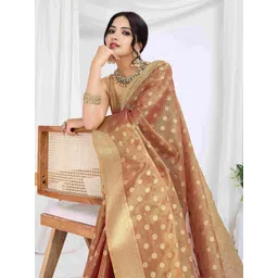 TASRIKA Woven Design Zari Tissue Banarasi Saree-picture-17