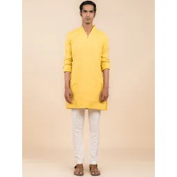 Tasva Mandarin Collar Pure Cotton Straight Kurta-picture-31