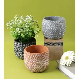 Multicolour Ceramic (Set of 3) Planter by Tayhaa-picture-28